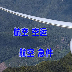 音布鲁克机场物流快递-选东方航空和上海航空