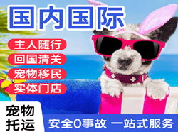 音布鲁克机场物流国际宠物托运 【国