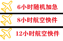 音布鲁克机场物流快递公司,专业空运当天件